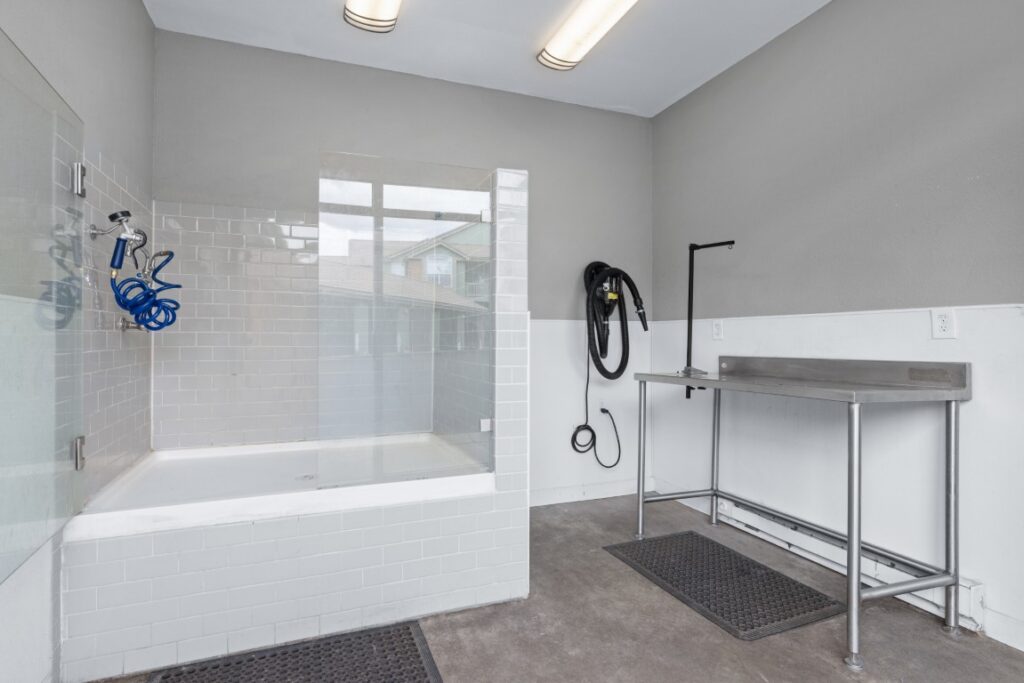 A clean pet washing station with a tiled wash tub, handheld showerhead, hose, and a stainless steel drying table, all set in a bright, modern room with concrete floors and rubber mats.